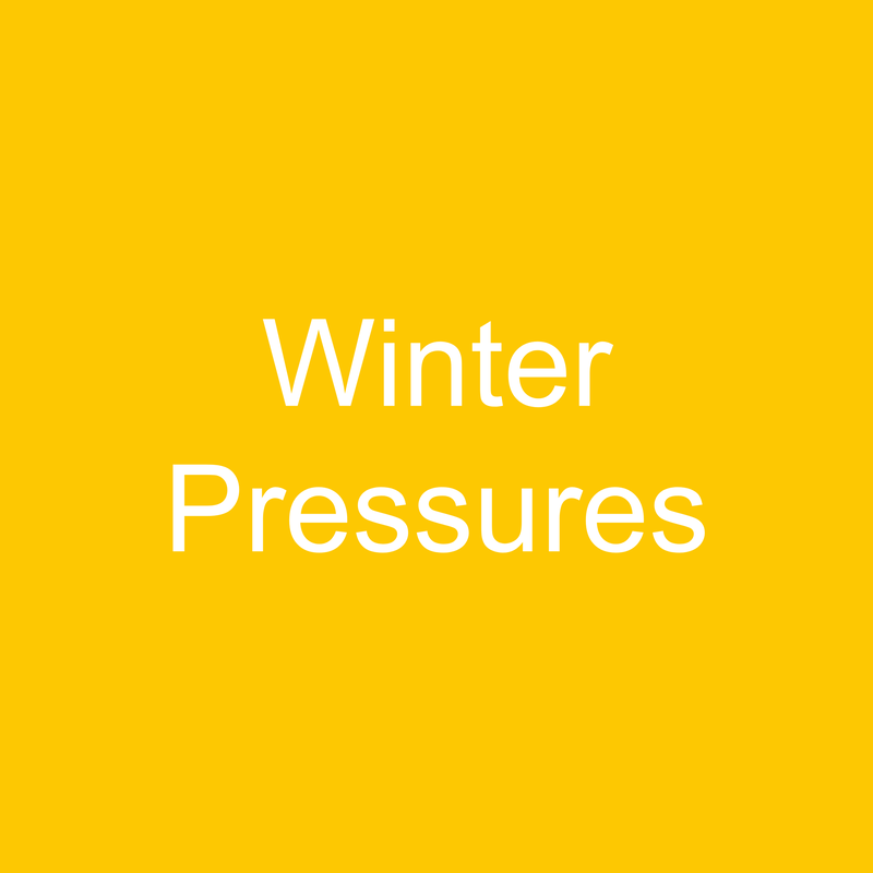 Winter Pressures